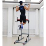 Turnik Brusya Power Tower Dfc Homegym G040 9